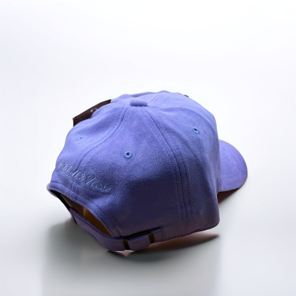 LA Lakers Dad Hat Old Logo RARE